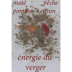 Infusion maté Energie du Verger par Nina Metayer