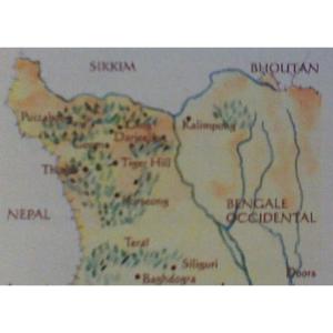 Voyage en Inde : Autour des ths de Darjeeling