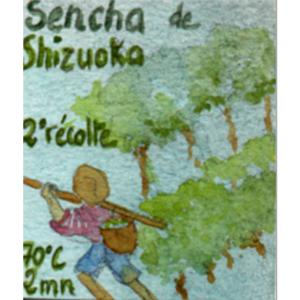 Thé vert du Japon Sencha Shizuoka