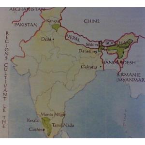 Voyage en Inde: Autour des ths d'Inde