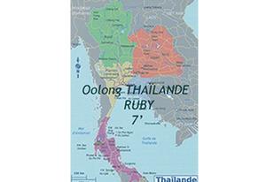 Origine du th Oolong : les ths Oolong de Thalande