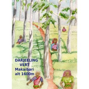 Thé vert d'Inde Darjeeling Makaibari