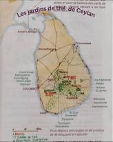 Les jardins de th du Ceylan