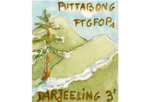 Thé noir d'Inde Darjeeling Puttabong First Flush