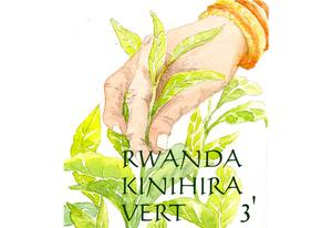 Thé vert d'Afrique Rwanda Kinhihira vert