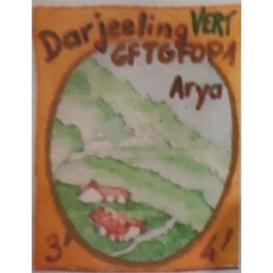 Thé vert d'Inde Darjeeling Arya vert