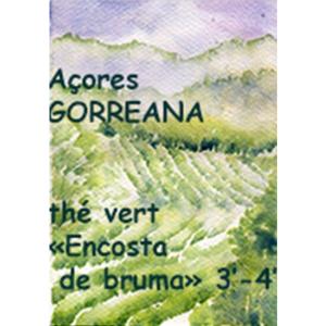 Thé vert des Açores Encosta da Bruma