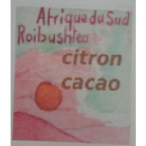 Roibushtea - Rooibos Citron Cacao