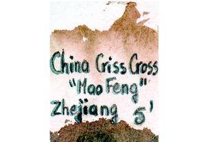 Thé vert Criss Cross "Mao Feng"
