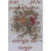 Infusion maté Energie du Verger par Nina Metayer