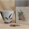 Infusion de plantes Lune de miel