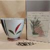 Infusion de plantes Lune de miel