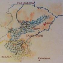 Voyage en Inde : Autour des th d'Inde rgion Nilgiri