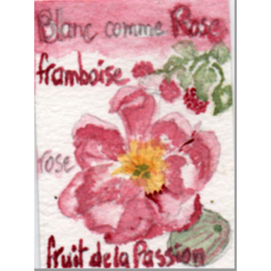 Thé blanc parfumé Blanc comme Rose