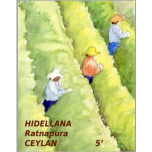 Th noir de Ceylan Hidellana