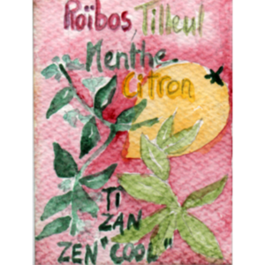 Infusion de plantes Ti Zan Zen Cool