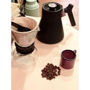 Café de spécialité Costa Rica Tarrazu Saints