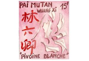 Thé blanc de Chine  Pai Mu Tan - Pivoine blanche