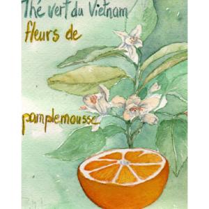 Thé vert du Vietnam aux fleurs de pamplemousse