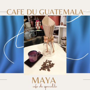 Café de spécialité Guatemala Maya
