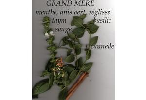 Infusion de plantes Grand-mère