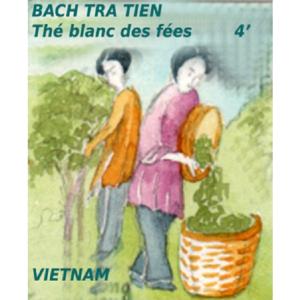Thé blanc sauvage du Vietnam Bach Trien
