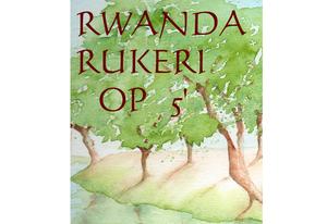 Thé noir d'Afrique Rwanda Rukeri OP