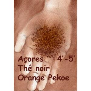 Thé noir des Açores Orange Pekoe
