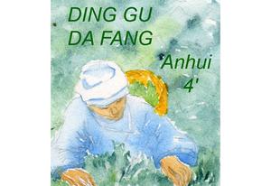Thé vert Ding Gu Da Fang