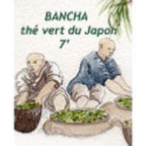 Thé Bancha