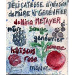Infusion de fruits Mûres et Genévrier