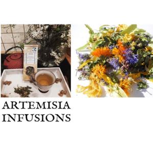 Saveurs et Harmonie accueille Solne - Artemisia Infusions