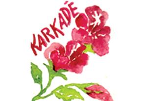 Infusion de plantes Karkadé