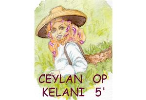 Thé noir de Ceylan OP Extra Kelani