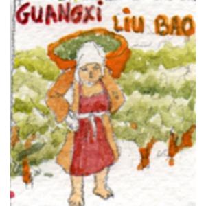 Thé noir de Liu Bao Guangxi