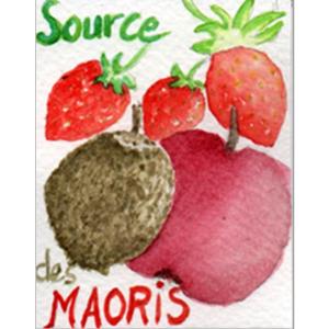 Infusion fruits La source des Maoris