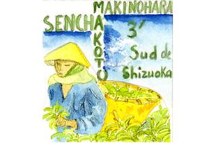 Thé Sencha Makoto Makinohara