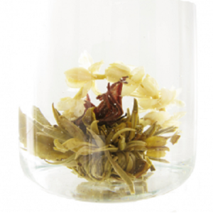 Fleur de thé Mayflower