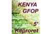 Thé noir d'Afrique Kenya GFOP Kaproret