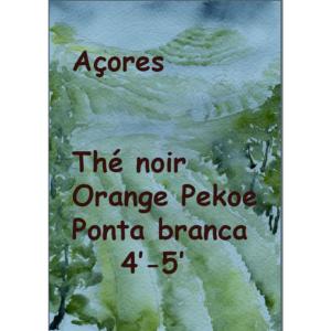 Thé noir des Açores Orange Pekoe Ponta Branca