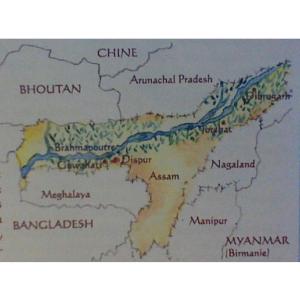 Voyage en Inde : Autour des ths d'Inde rgion d'Assam