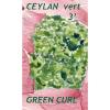 Thé vert de Ceylan Oliphant Green Curl