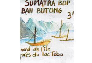 Thé noir d'Indonesie Sumatra Bah Butong