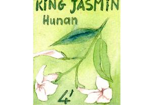 Thé vert parfumé King Jasmin