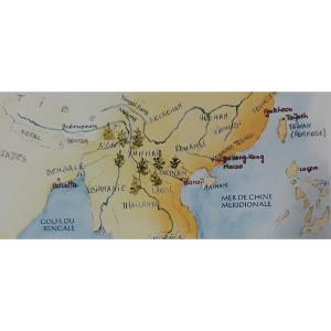 La Chine : berceau originel du th
