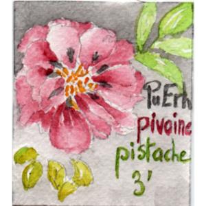 Pu Erh Pistache et Pivoine