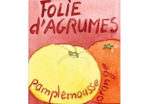 Infusion fruits Folie d'agrumes