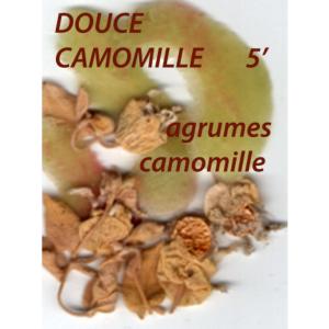 Infusion de plantes Douce Camomille