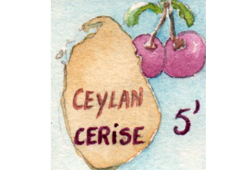 Thé noir parfumé Cerise