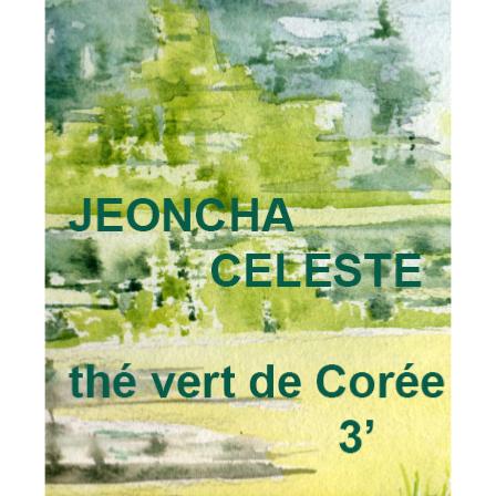 Thé vert de Corée Jeoncha Celeste